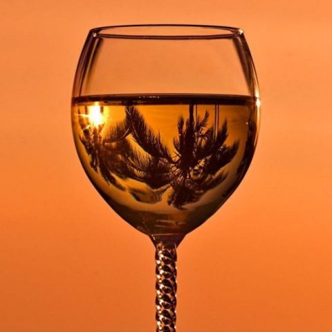 Vinum: про вино