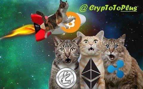 CrypToPlus