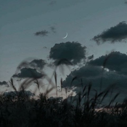 Дельта