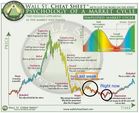Crypto mania