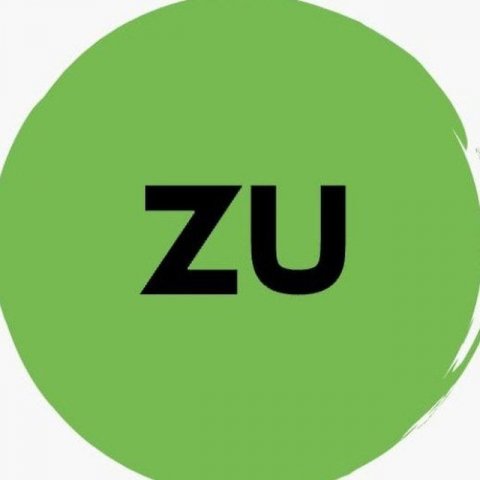 Кроссовки "Zu"