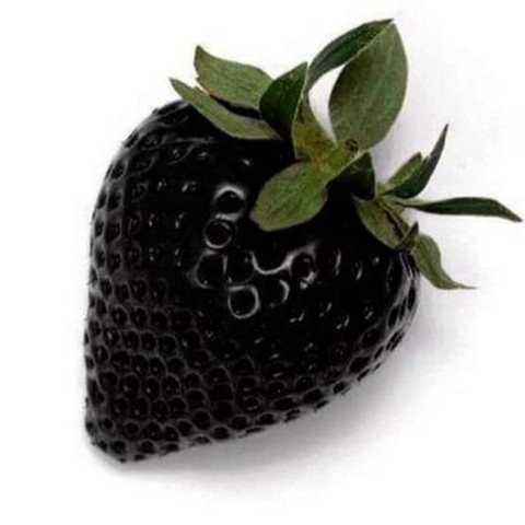BlackStrwrry