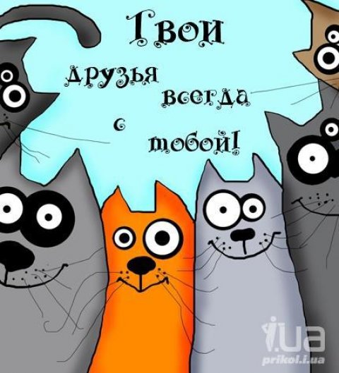 Дррузья
