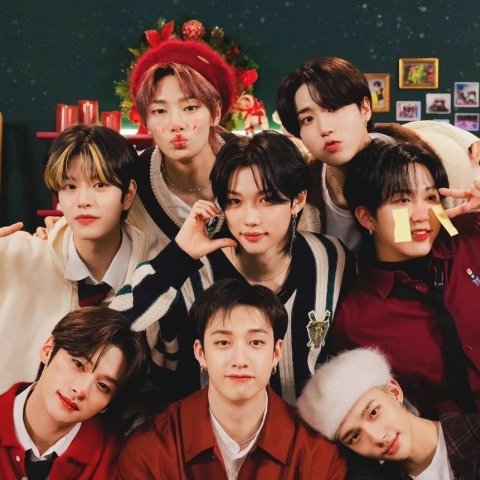 stray kids bot