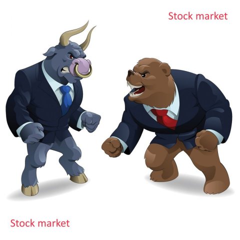 Stock market, bull and bear