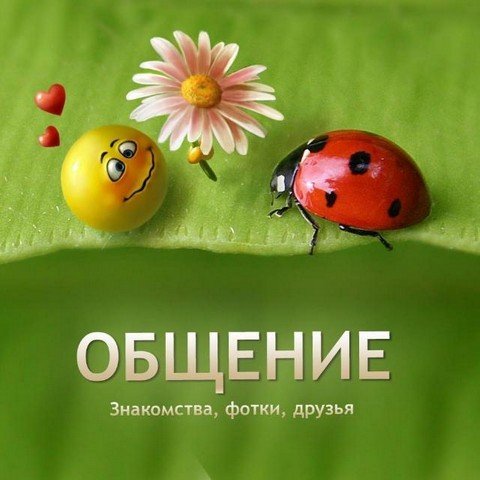 Общение знакомства