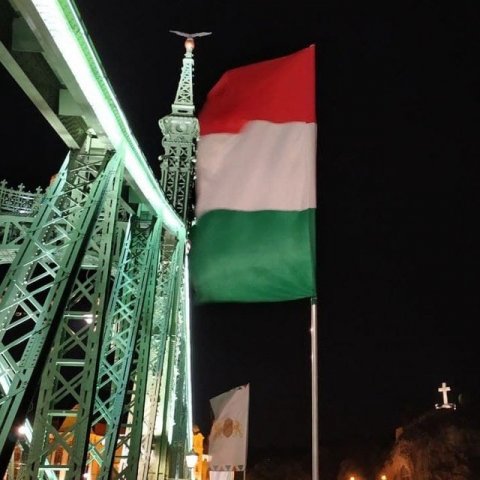 В Венгрии