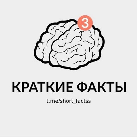 Краткие факты