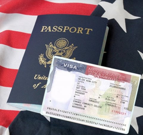 Visa Help