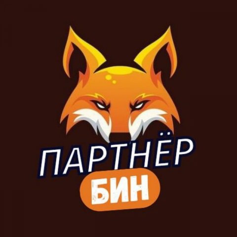 Партнёр Бин