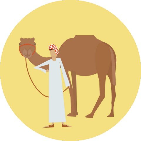 Приключения в Кувейте