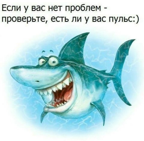 Топ Видосы