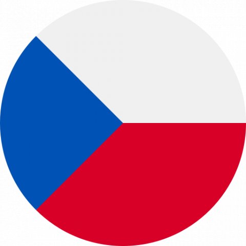 Чешский социум