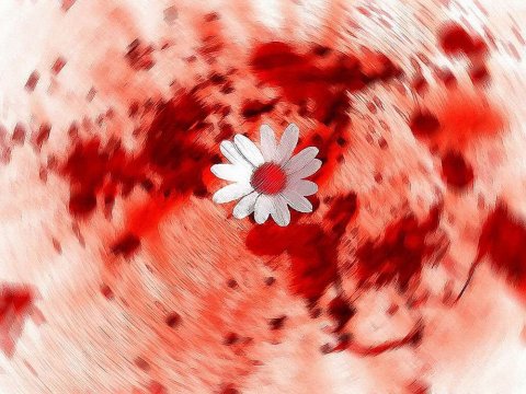🎗не ЯДОВИТЫЕ🎗