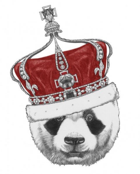 🐼ПАНДИТЫ🐼RETURNED👌👋