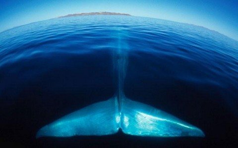 World Ocean Review. Тайны Мирового Океана