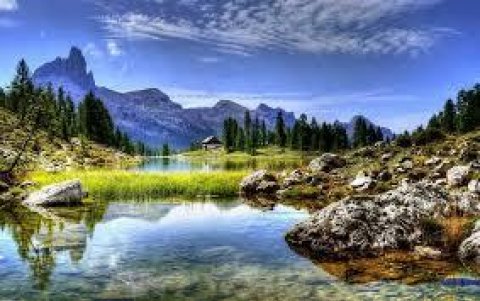 Nature of the world