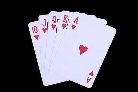 CardBluffBot