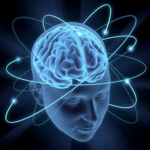 Cerebro