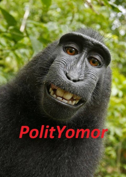 ПолитСоц юмор