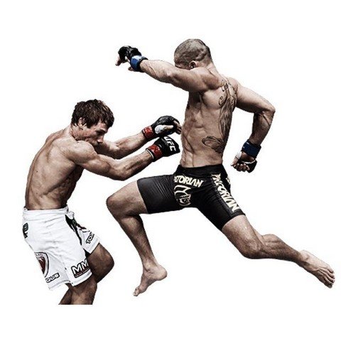 Athletic Fighter