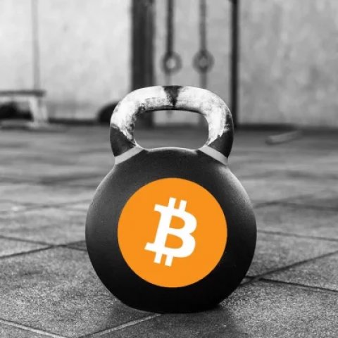 CryptoTonka