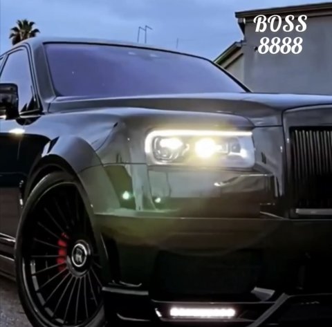 BOSS8888