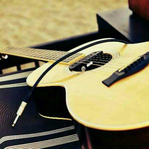 Guitarist