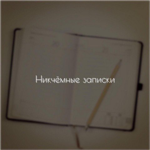 Никчемные записки