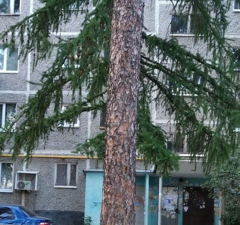 Лига ссылок