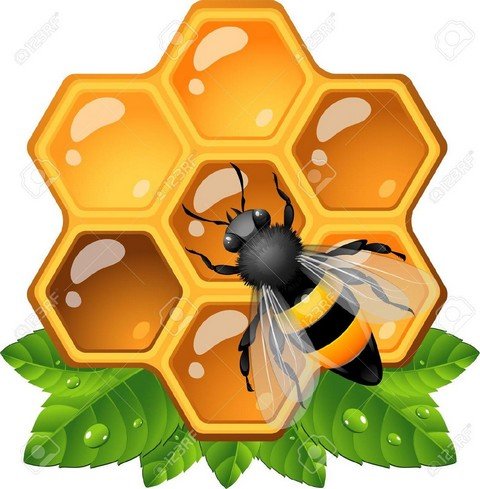 Пчелы и Пчеловодство