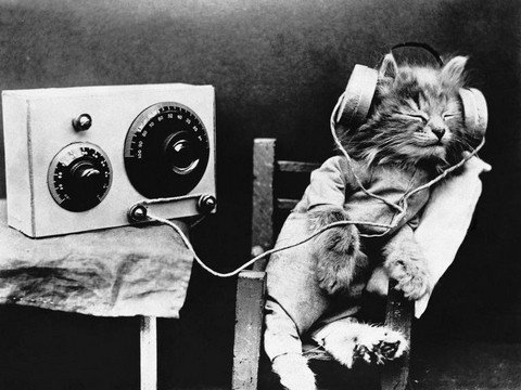 Podcasts