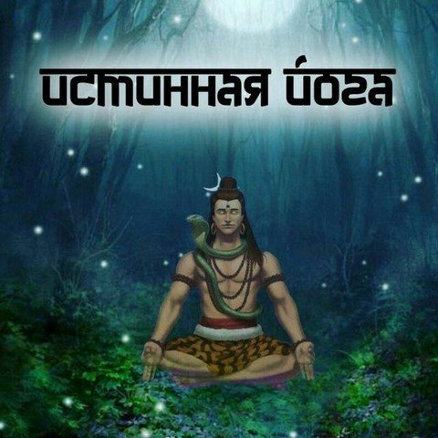 Истинная Йога