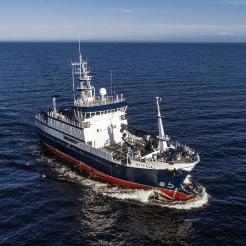 ⚓️ Моряки ДВ Чат ⚓️