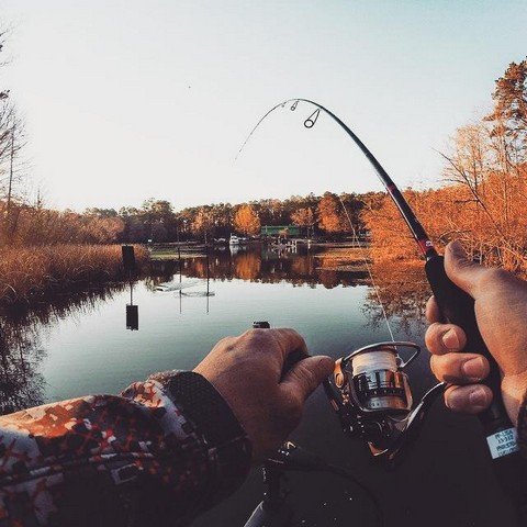 Рыбалка | Fishing