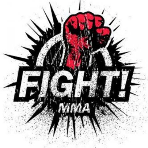 UFC MMA FIGHT