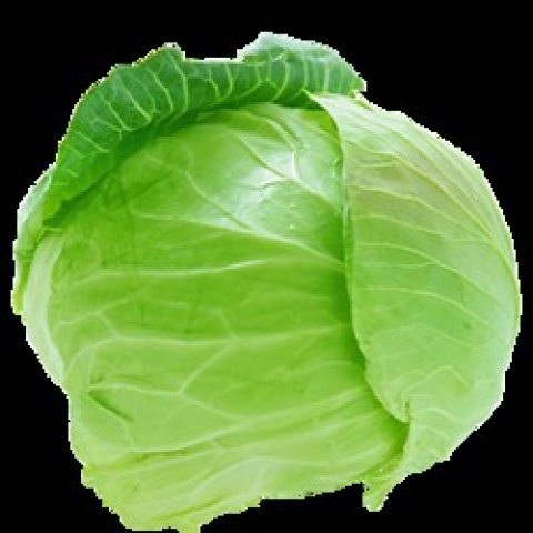 Капуста