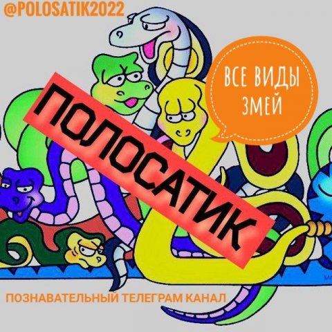 Полосатик