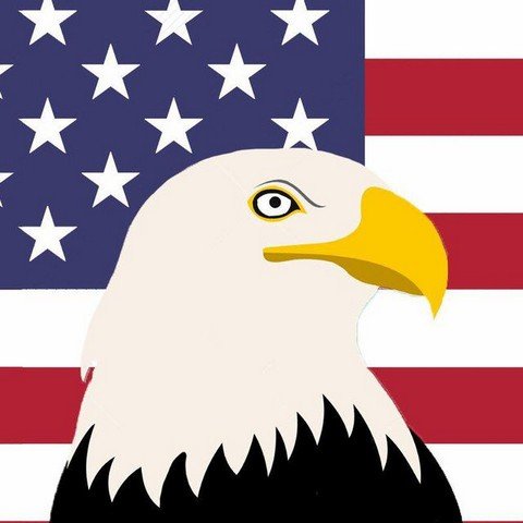 U.S.Advice