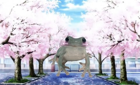 Лягушки жабятся / frogs