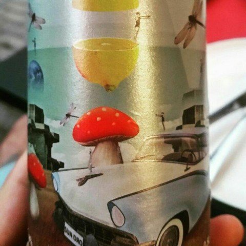 Денис Мишлен
