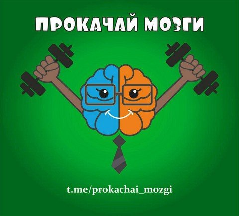 Прокачай мозги
