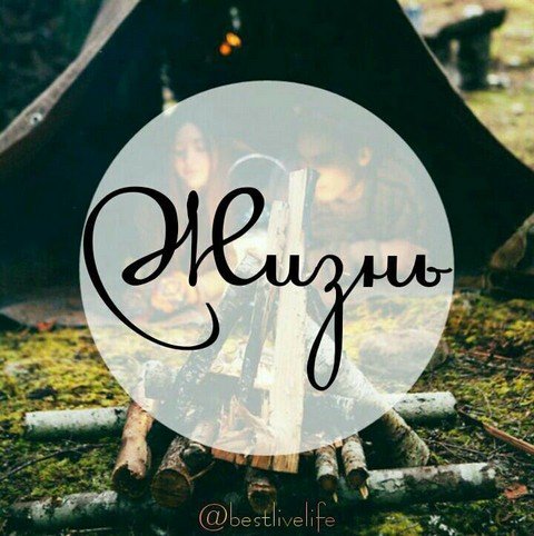 Жизнь. (Life)