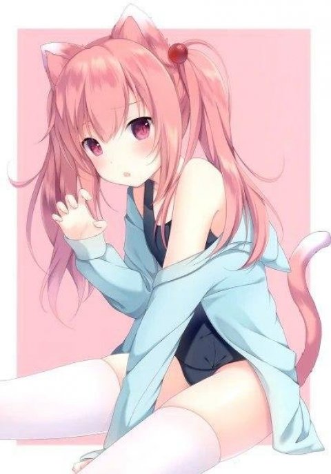 AniTop