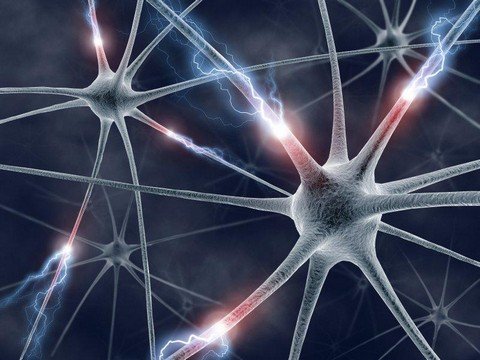 PsyPortal