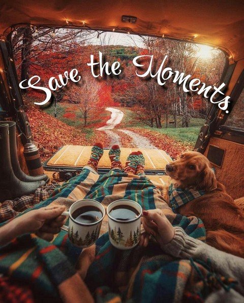 Save the Moments...