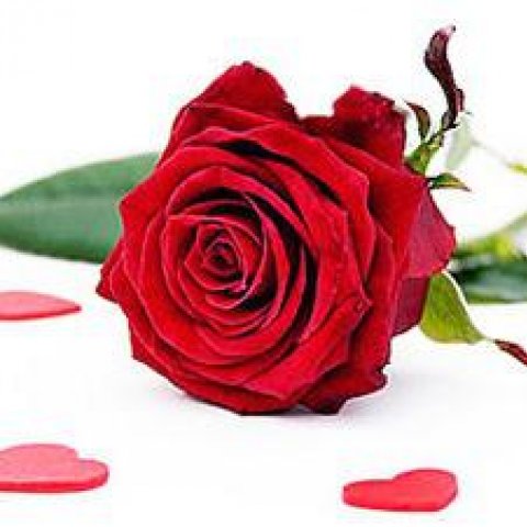 Romantik clab