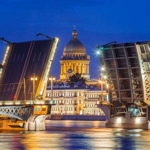 Питерский чат Роза ветров