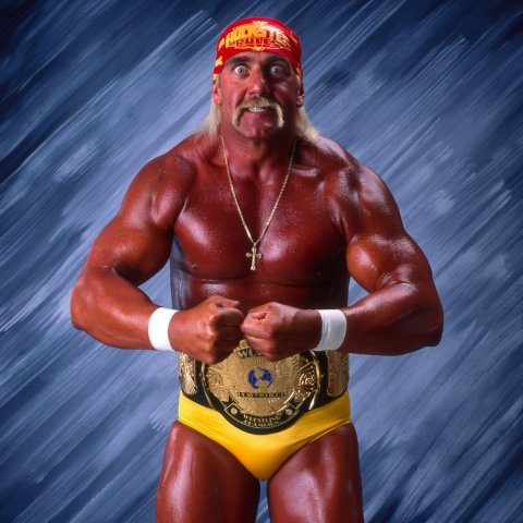 Wrestling the best!