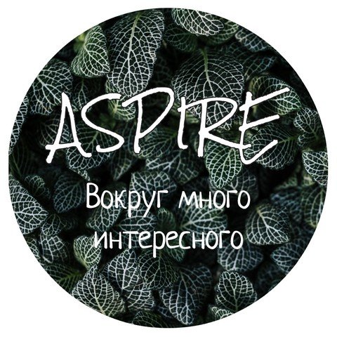 -A-S-P-I-R-E-